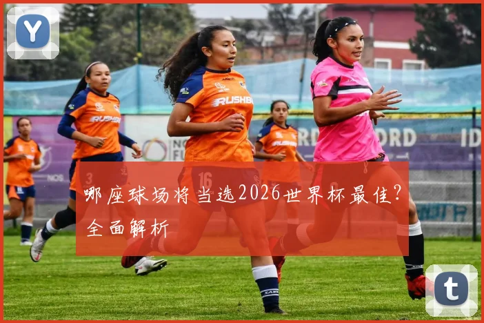 哪座球场将当选2026世界杯最佳?全面解析