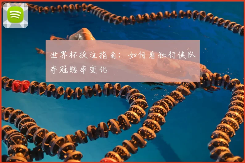 世界杯投注指南：如何看独行侠队夺冠赔率变化